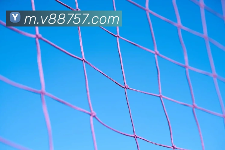 v8体育入口平台生态图